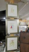 3 framed and glazed Tim Bulmar cartoons.