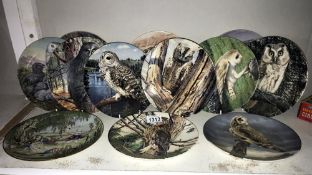 A collection of decorative plates depicting owls.