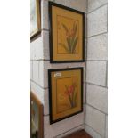 A pair of framed and glazed Chinese floral studies.