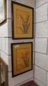 A pair of framed and glazed Chinese floral studies.