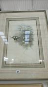 A framed and glazed print of birds.