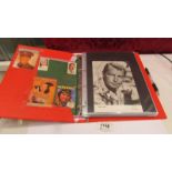 Two albums of movie star postcards (approximately 175) and an album of Picture Goer Gallery series