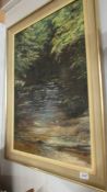 An oil on canvas forest stream signed Pat Clark.