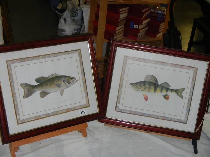 2 good pictures of fish.