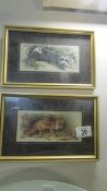 A pair of framed and glazed studies of a fox and a badger.