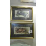 A pair of framed and glazed studies of a fox and a badger.
