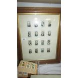 A framed and glazed set of cigarette cards and others.