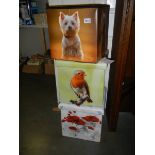 3 pictured storage boxes:- Scotty dog (lid missing), Robin and poppies.