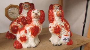 Two pairs of Staffordshire spaniels.