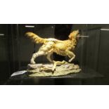 A Beswick golden retriever. ****Condition report**** In good condition.