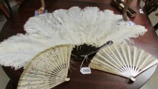 An ostrich feather fan and 2 others.