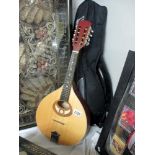 A mandolin with soft case.
