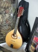 A mandolin with soft case.