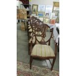 A set of 6 shield back dining chairs.