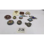 12 interesting brooches including silver parrot head brooch, 2 micro mosaic brooches etc.