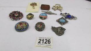 12 interesting brooches including silver parrot head brooch, 2 micro mosaic brooches etc.
