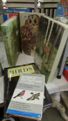 A good lot of bird and nature books.