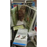 A good lot of bird and nature books.