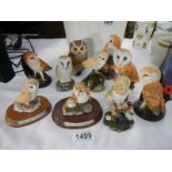 10 owl figures