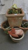 3 large terracotta pots and one other.