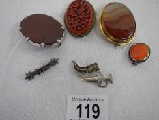 Six assorted brooches including Edwardian, Agate, silver etc.