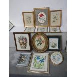 Twelve old book plates, watercolours etc.