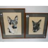 Two good framed and glazed watercolours of German Shepherd/Alsation dogs by Tony Byrne, '86.