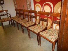 A good set of 7 Victorian mahogany drop in seat chairs, 1 carver and 6 diners.