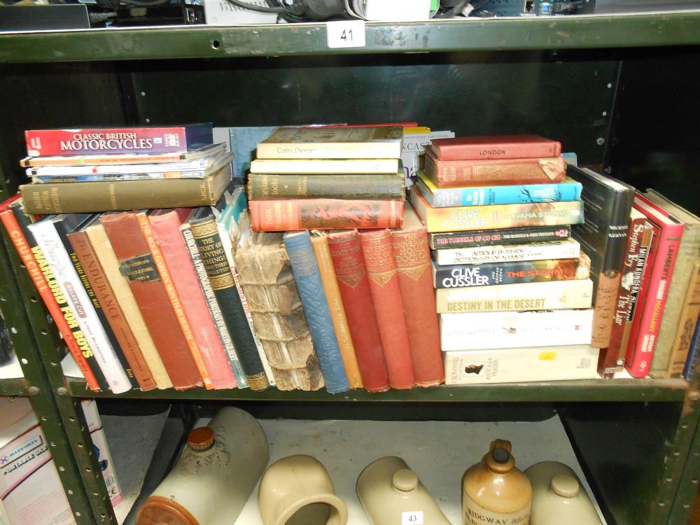 A shelf full of books on many subjects (annuals,