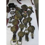 A good lot of martingales with brass and some loose horse brasses.
