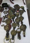 A good lot of martingales with brass and some loose horse brasses.