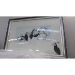 A framed and glazed limited edition print entitled 'The Puffins of St.