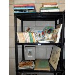 A good lot of vintage books on birds including a selection of Observer books plus a framed and