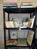 A good lot of vintage books on birds including a selection of Observer books plus a framed and