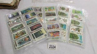 A quantity of Brooke Bond tea cards.