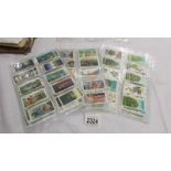 A quantity of Brooke Bond tea cards.