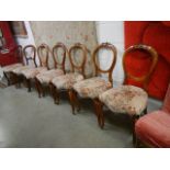 A good set of 5 Mid Victorian cabriole leg dining chairs, no damage.