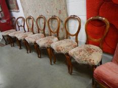 A good set of 5 Mid Victorian cabriole leg dining chairs, no damage.