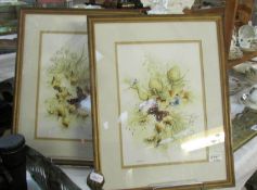 A pair of framed and glazed watercolours of butterflies by Rachel Dee, 49 x 39 cm.