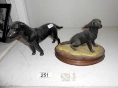 A Border Fine Atrs black labrador and an unmarked black labrador