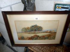 An early framed and glazed 20c watercolour on paper, signed. Title A Copse with pine trees.