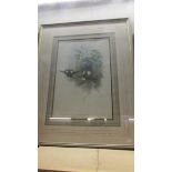 A framed and glazed print entitled 'Bowcieria Conradl'.