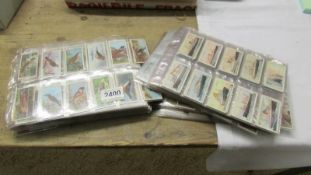 In excess of 100 sheets of cigarette cards, mostly sets, some duplicates.