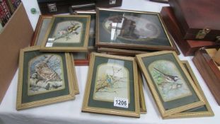 7 small framed and glazed prints of birds and 5 other prints.