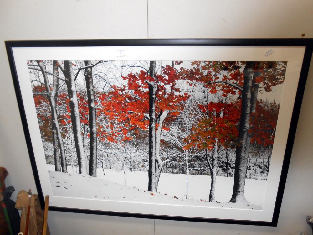 A large Framed and glazed print of trees titled 'Snowfall' by Burney Lieberman 105cm x 75cm collect