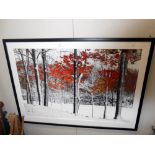 A large Framed and glazed print of trees titled 'Snowfall' by Burney Lieberman 105cm x 75cm collect