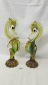 A large pair of Murano sea horses, tallest 37cm.