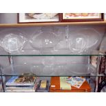2 shelves of leaf pattern frosted glass dishes and a large 'fish' plate