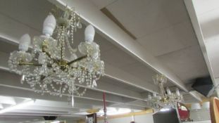 A pair of good quality 6 lamp chandeliers.