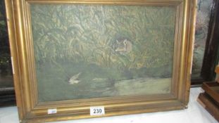 An oil on canvas depicting a fox stalking a duck, signed J H Taylor, 1907.